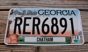 Georgial State One of Two Official State License Plate from All 50 USA State Official License Plate Collection Georgia State One of Two Official State License Plate
